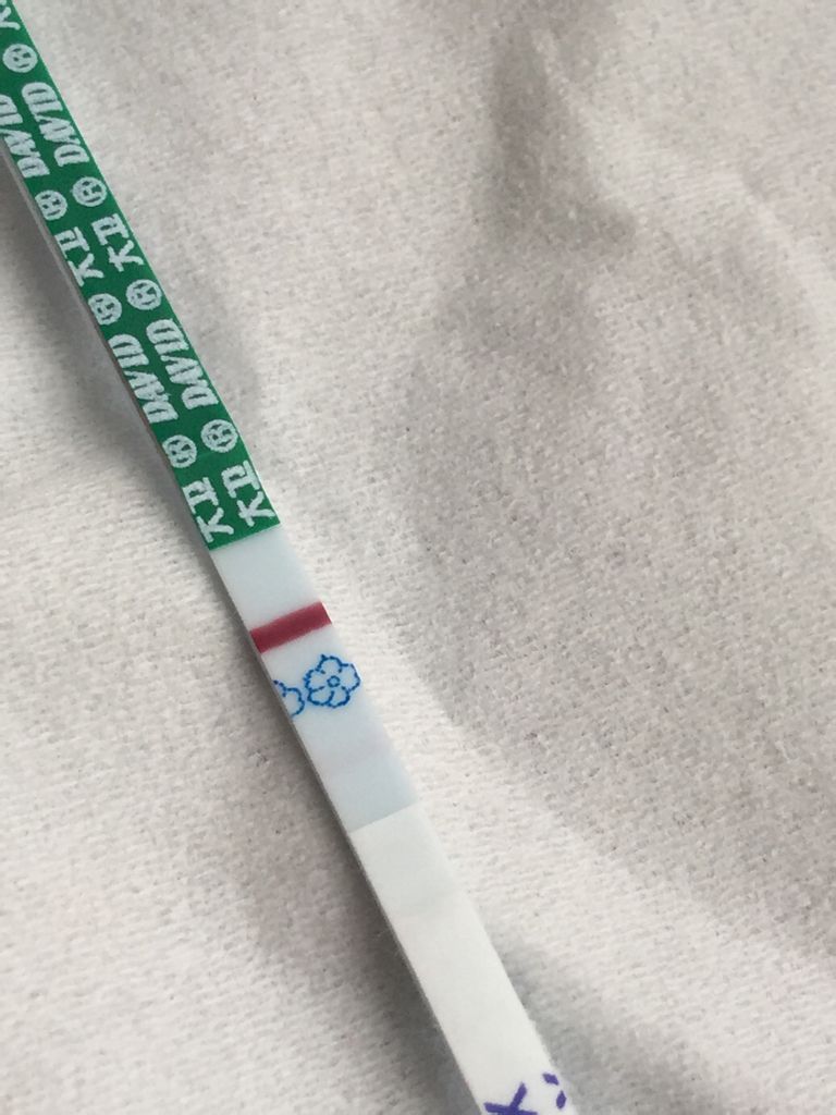 今天是第十二天,用早早孕纸测出来的,这个浅浅的第二道杠是怀孕还是没