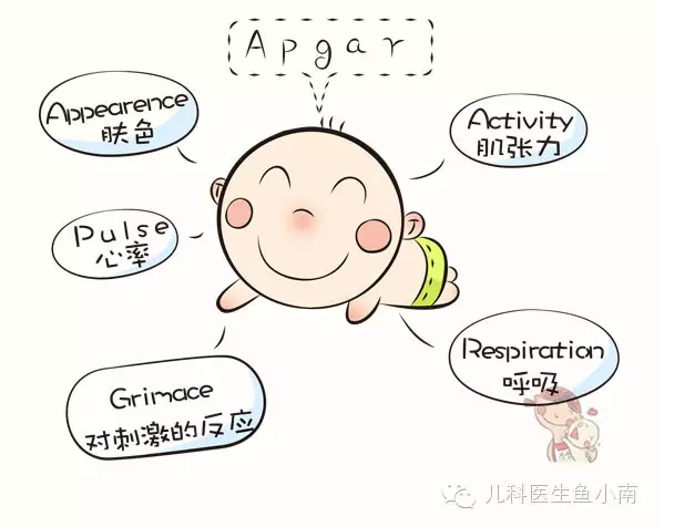 评判健康宝宝的10个标准,你知道吗?