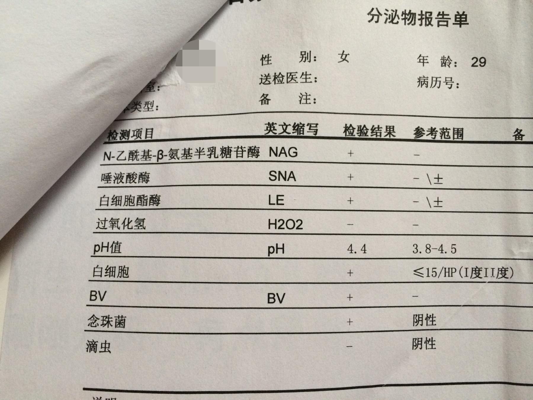 怀孕12周,分泌物检查结果白细胞,bv,念珠菌