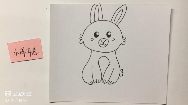 精 简笔画:一只可爱的小兔子