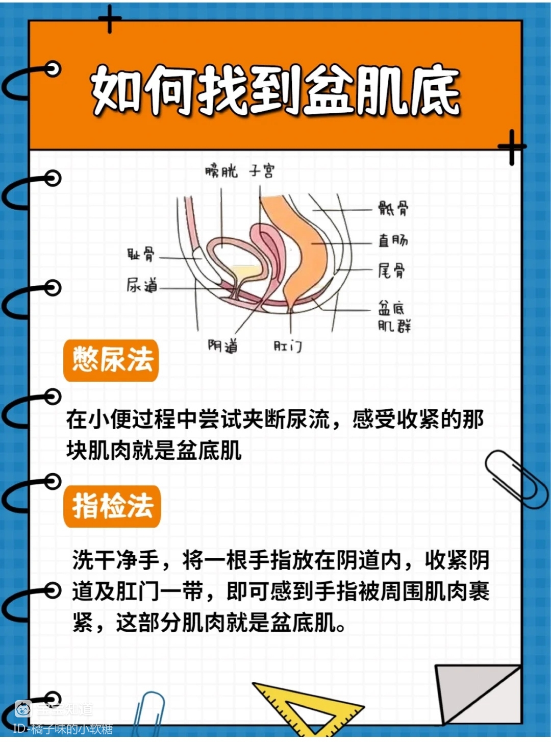 产后恢复凯格尔运动盆骨运动盆底肌