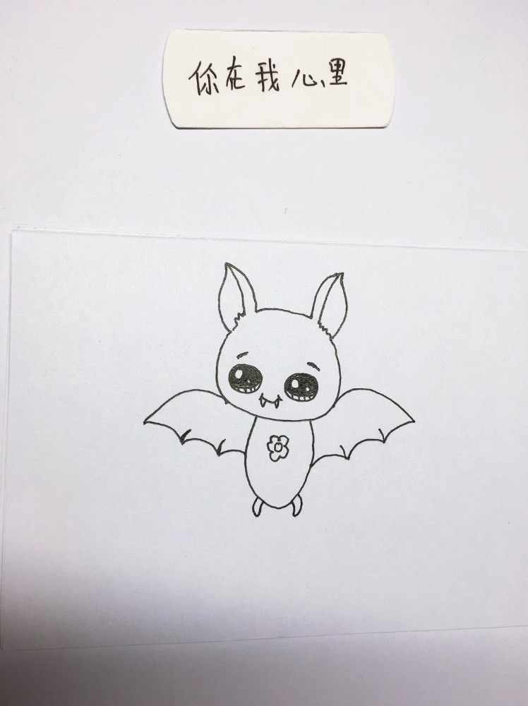 简笔画:一只非常可爱的小蝙蝠
