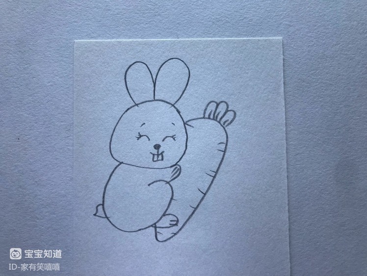 简笔画 一只抱着胡萝卜的小兔子