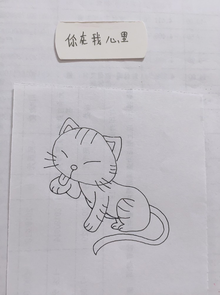 简笔画:调皮可爱的小猫咪