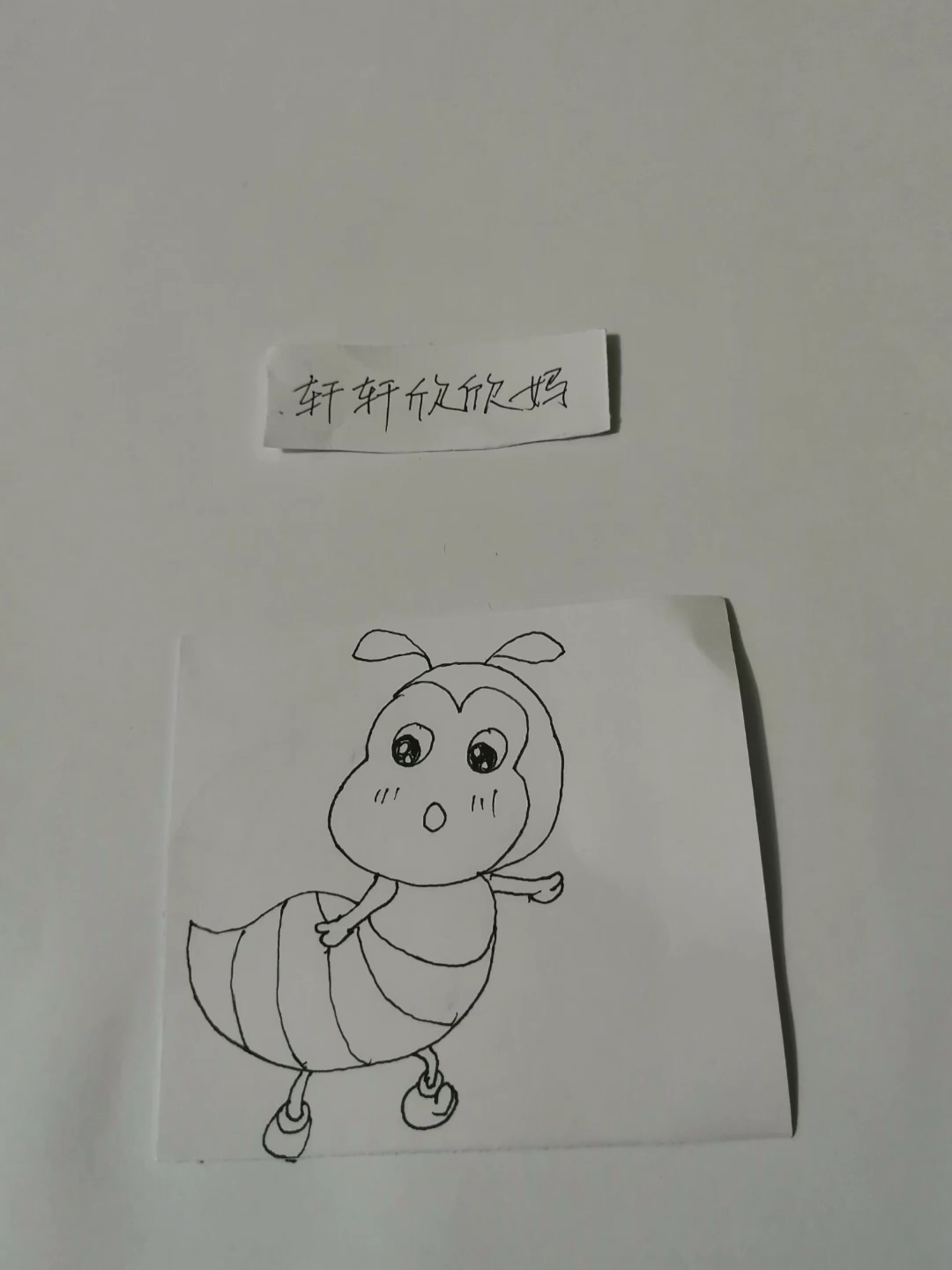 简笔画:小蚂蚁看什么呢