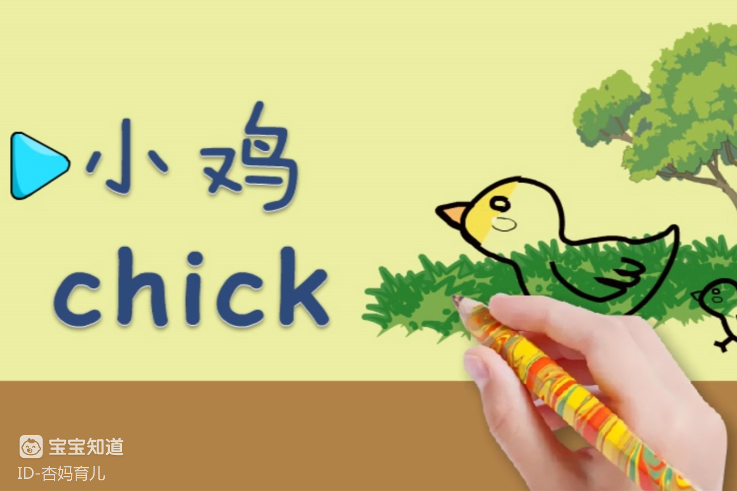 亲子绘画英语13:公园里可爱的小鸡,我们一起来学画吧!