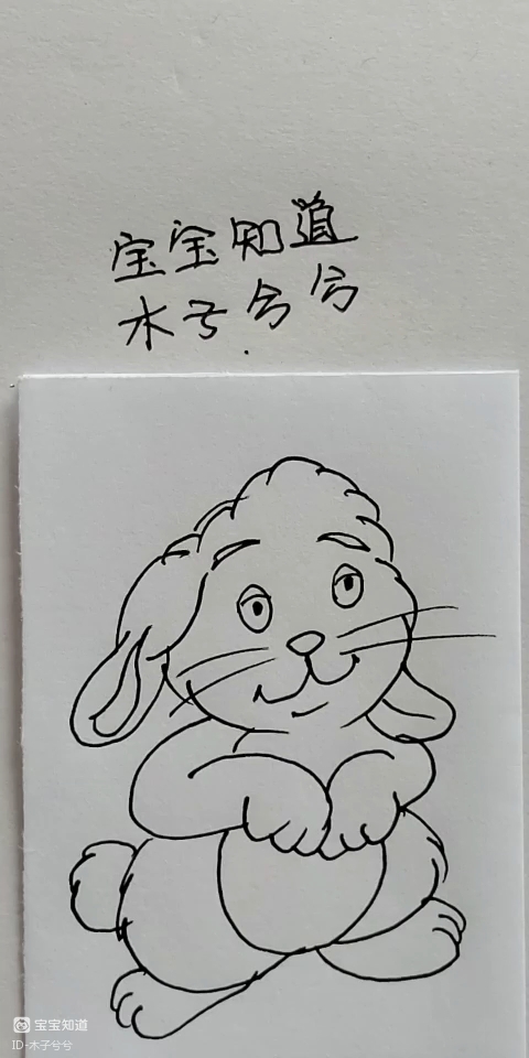 [简笔画]一只毛茸茸的小兔子