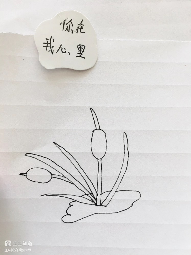 [才艺打卡]长在水洼里的小草