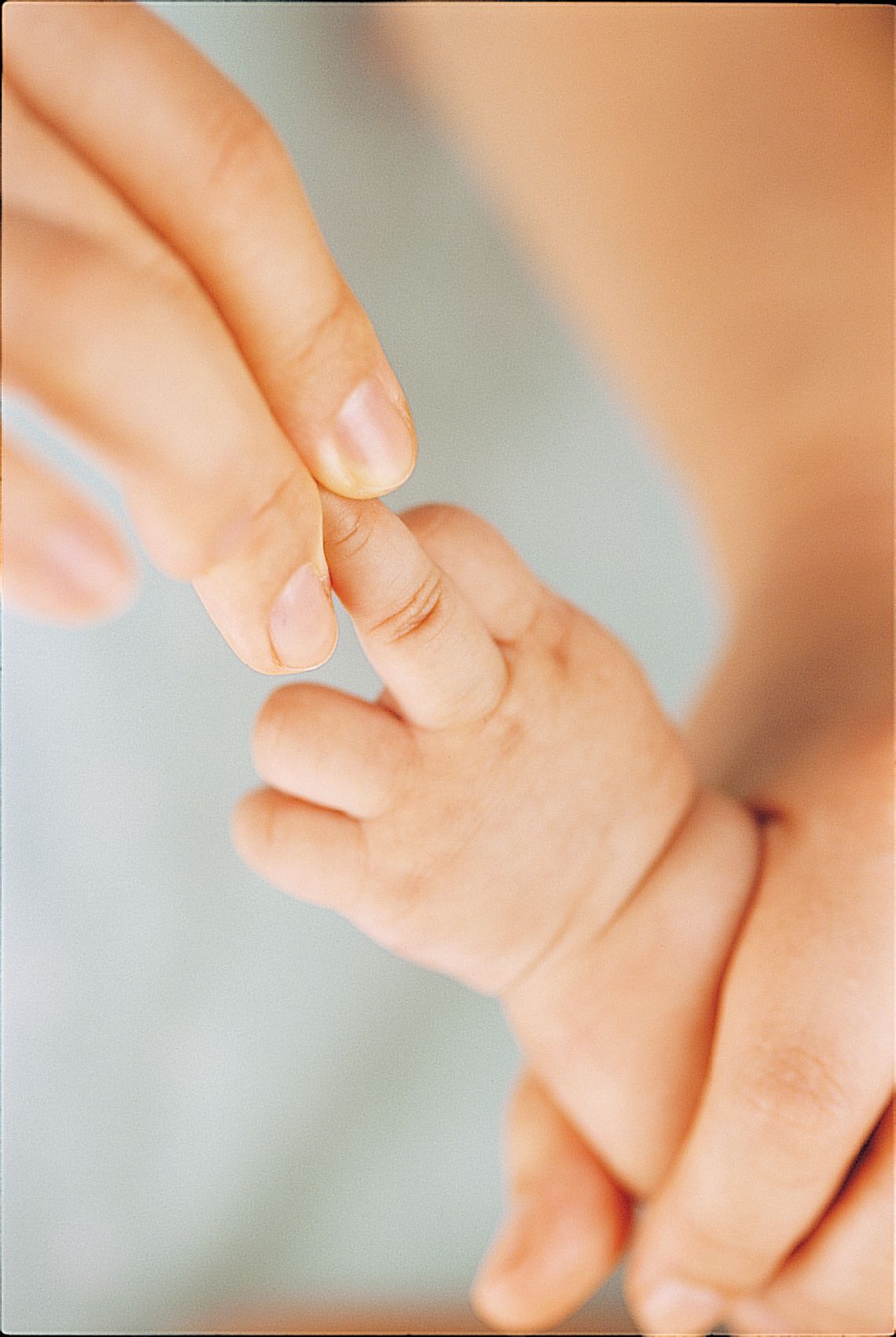 嬰兒的手圖片素材-JPG圖片尺寸6720 × 4480px-高清圖案501013395-zh.lovepik.com