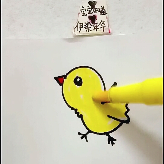 [才艺打卡]简单漂亮的小鸟简笔画