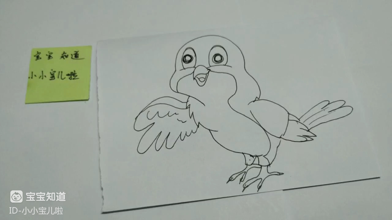 简笔画 漂亮的小鸟在说什么