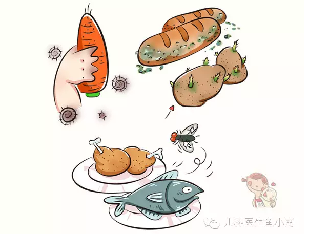 吃了不干净的食物—细菌感染性食物中毒,真菌感染性食物中毒,病毒