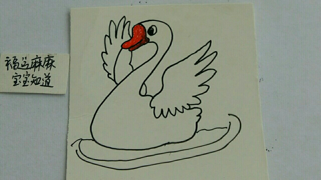 [绘画比拼]水中游泳的白天鹅