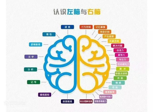 父母要多留意6岁前大脑发育好孩子会出现这3个臭毛病