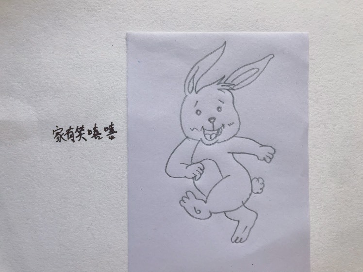 简笔画 一只跳跃的小兔子