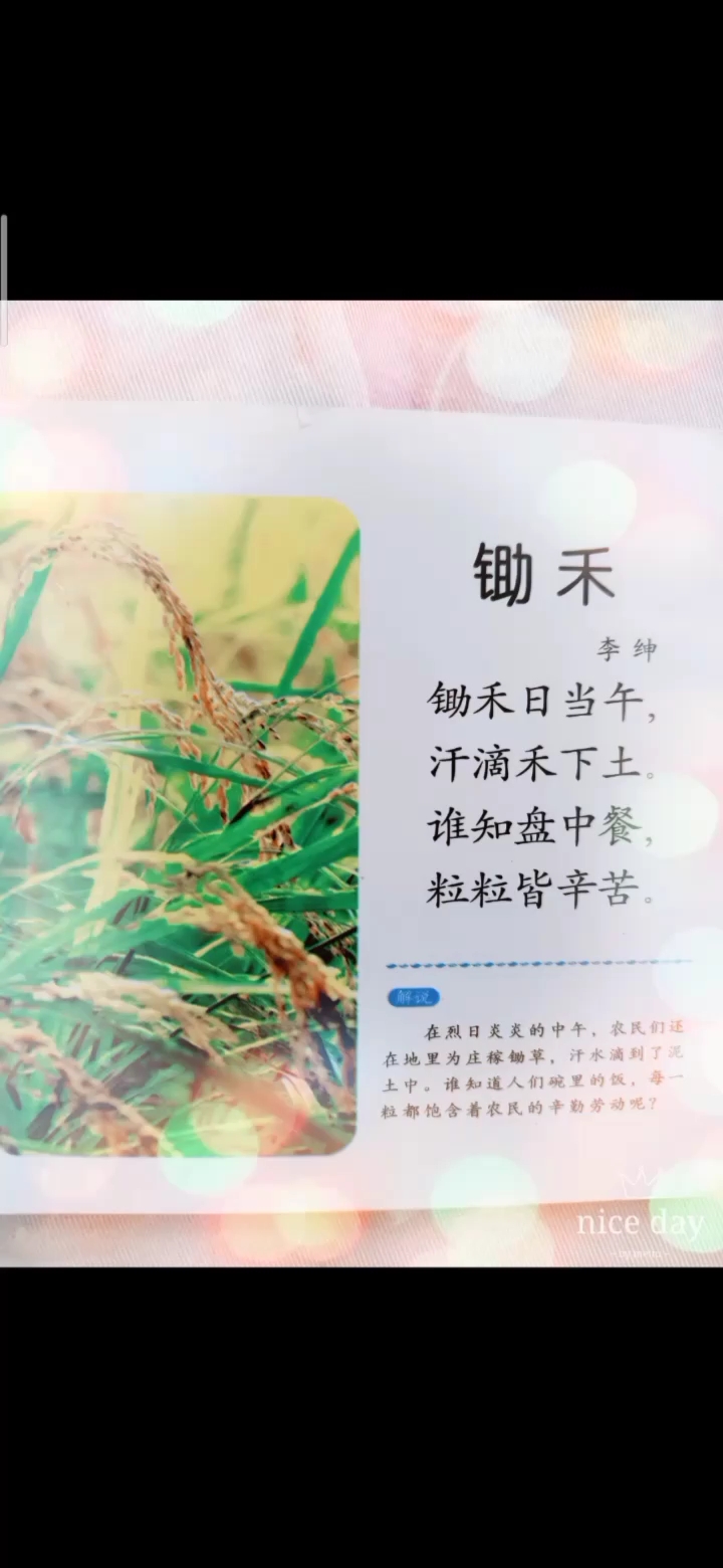 学习一首珍惜粮食的古诗锄禾