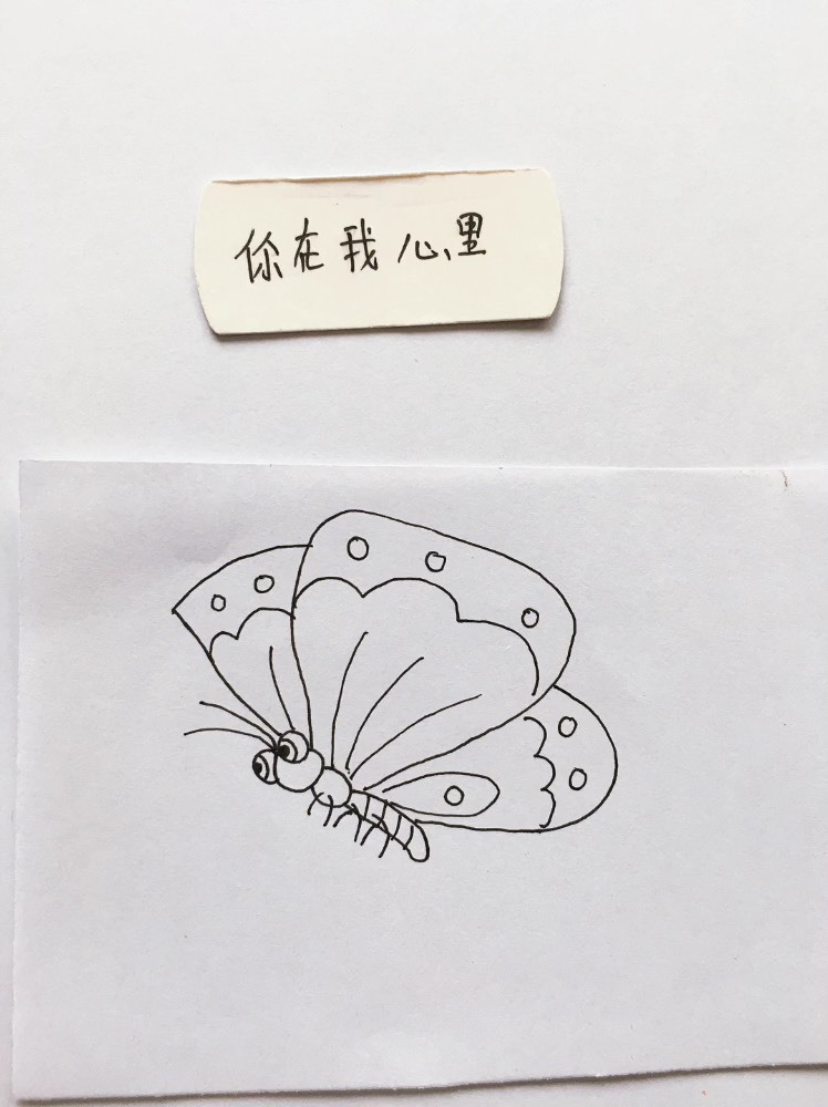 简笔画:一只漂亮的小蝴蝶