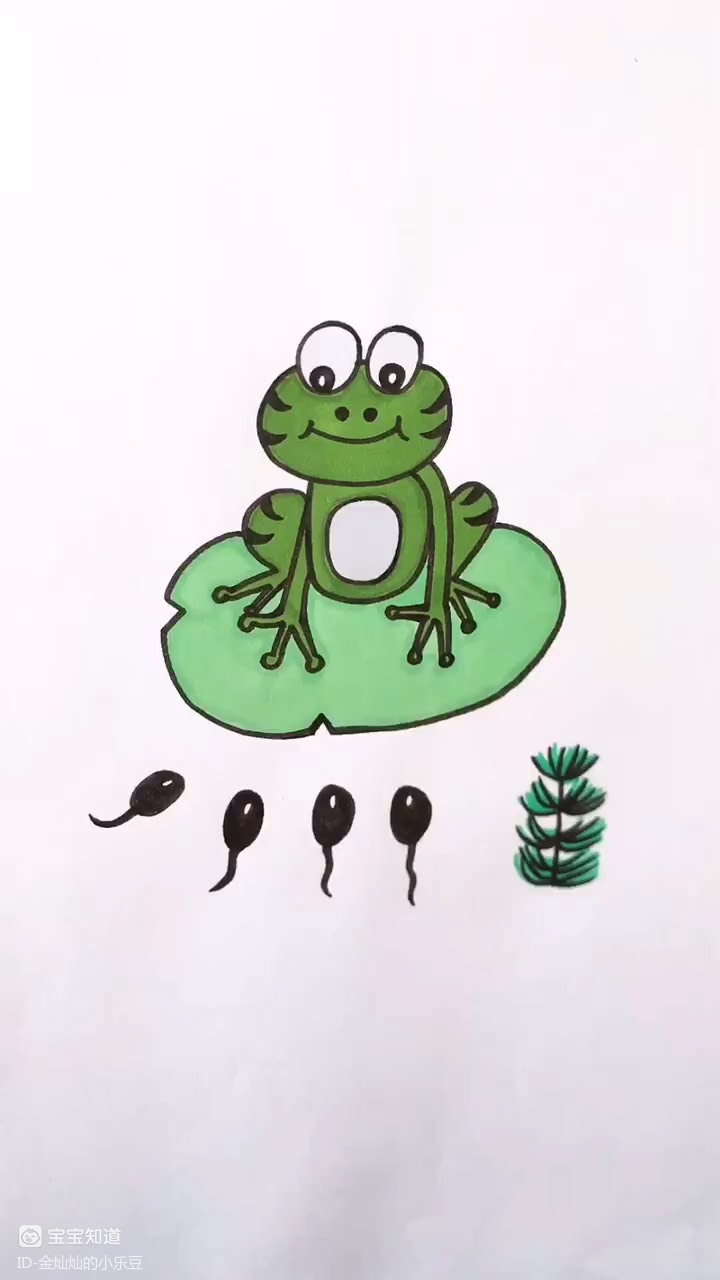 蝌蚪的简笔画 卡通图片