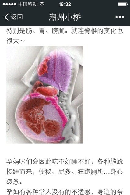 怀孕后内脏都被挤到哪儿去了?三张动图告诉你真相