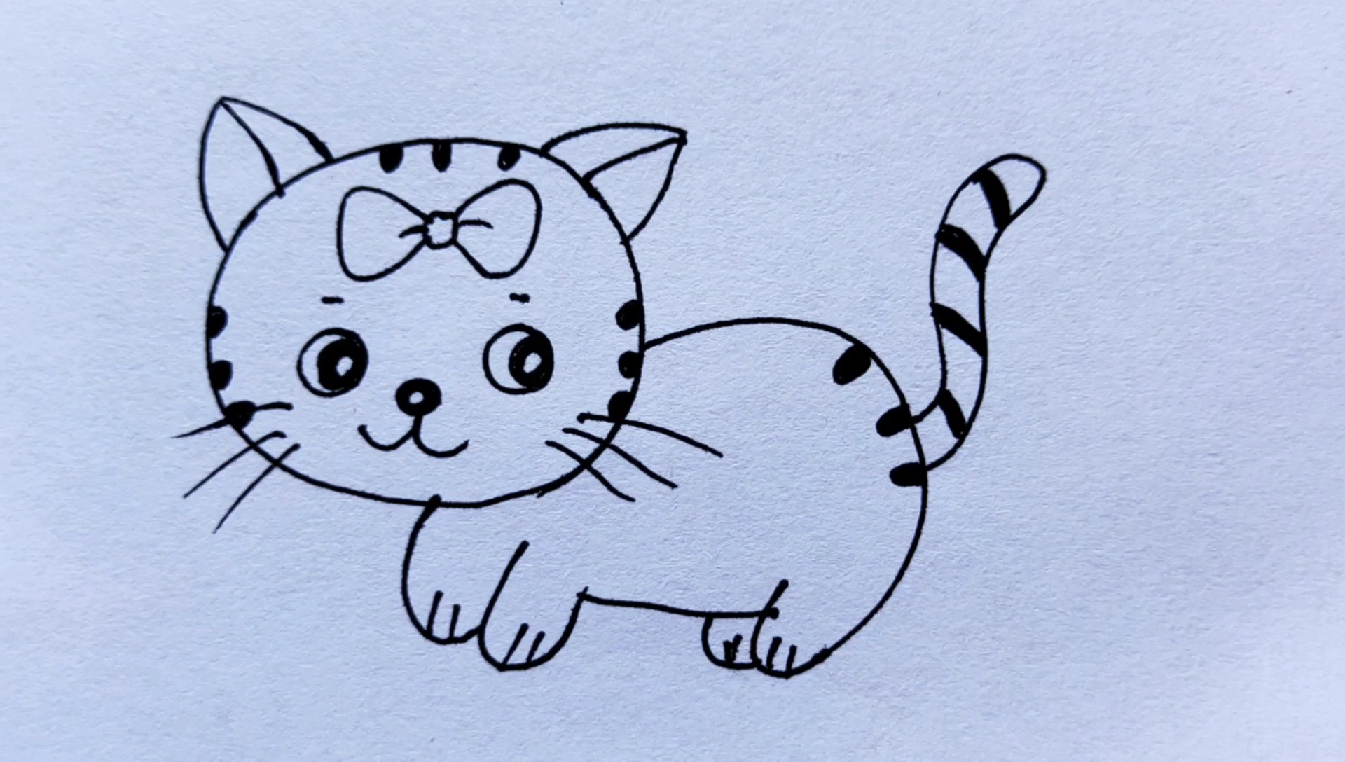 一起画一只可爱的小猫咪