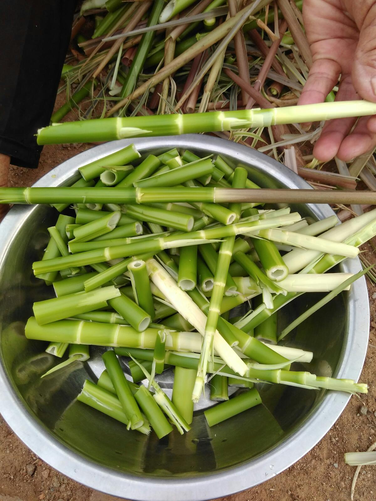 老家的野筍…煎蛋