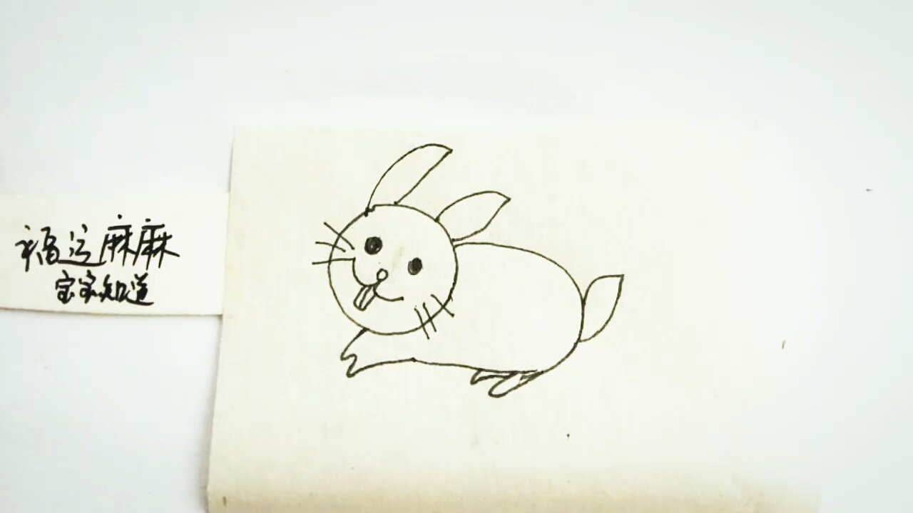 兔牙简笔画图片