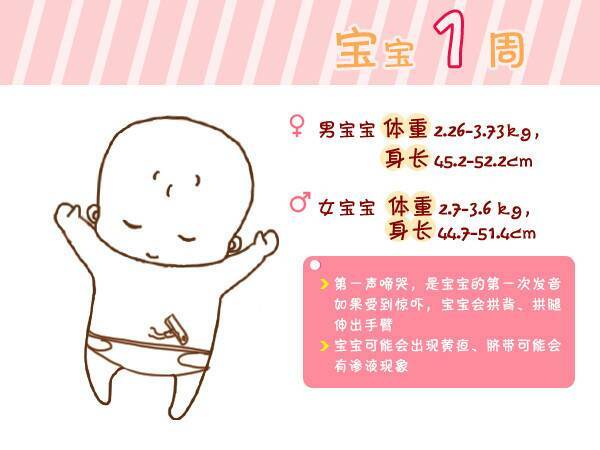 宝宝身高体重表，可爱漫画告诉你
