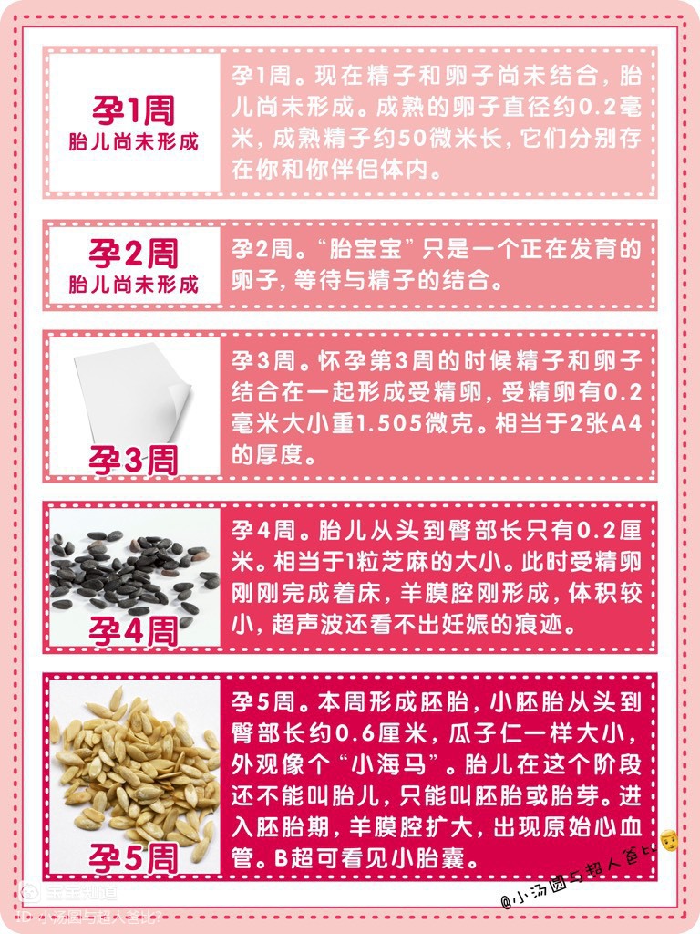 我怎么知道我在借卵试管婴儿移植后上床了？