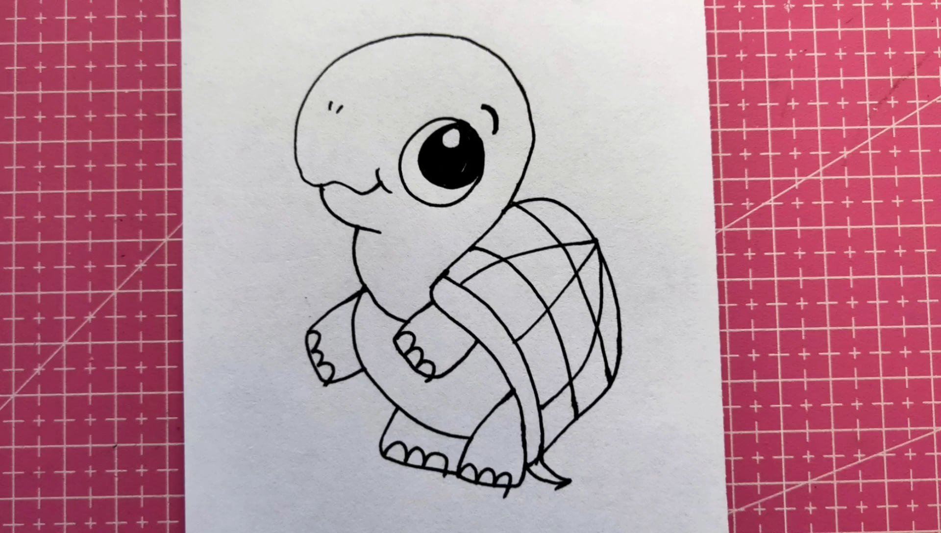 小乌龟怎么这么可爱一起来画吧