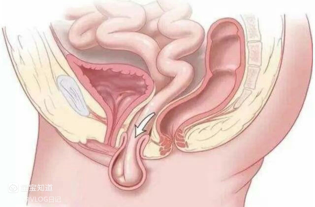 马伊琍自曝私生活微博评论揭开了女性最后一块遮羞布