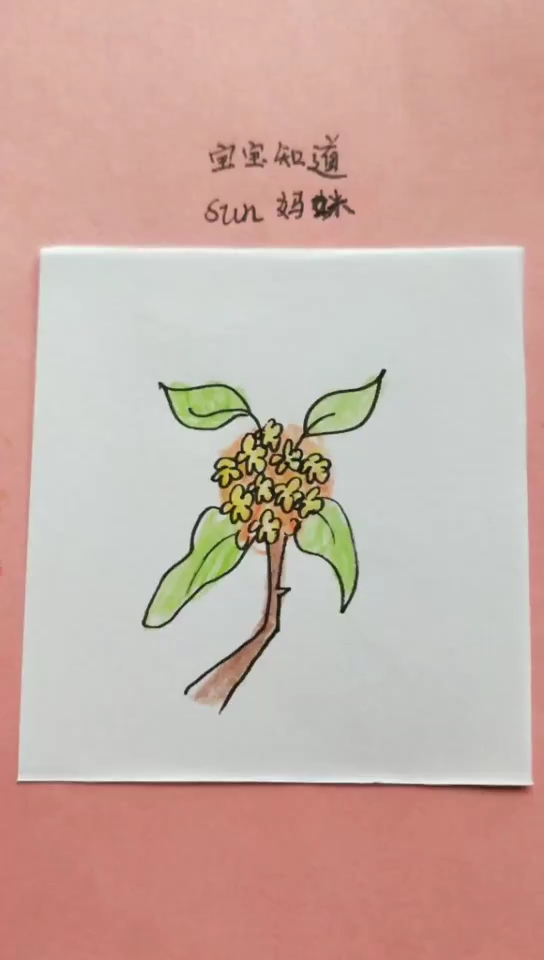 儿童画桂花树图片