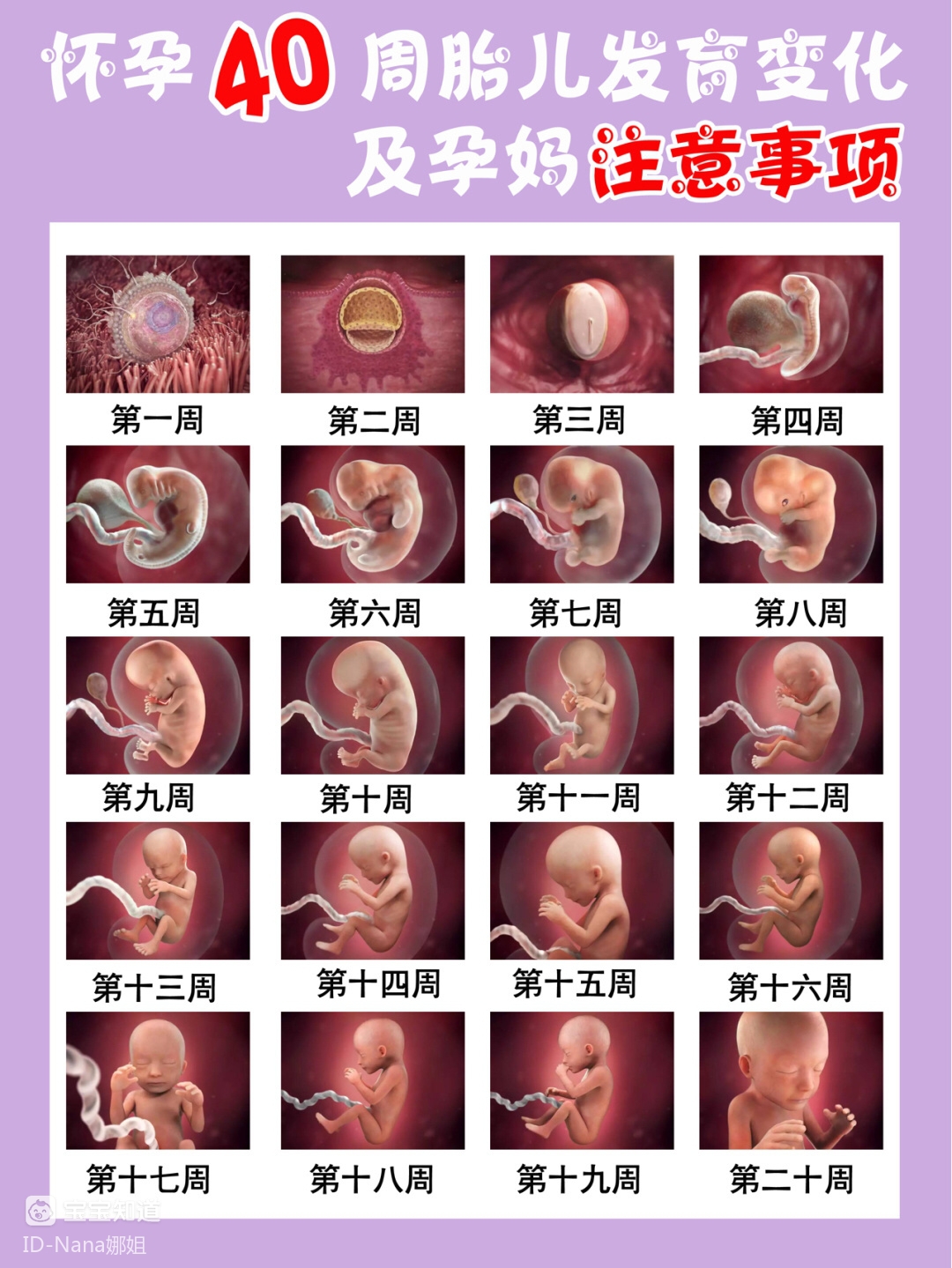 怀孕40周胎儿发育变化及孕妈注意事项