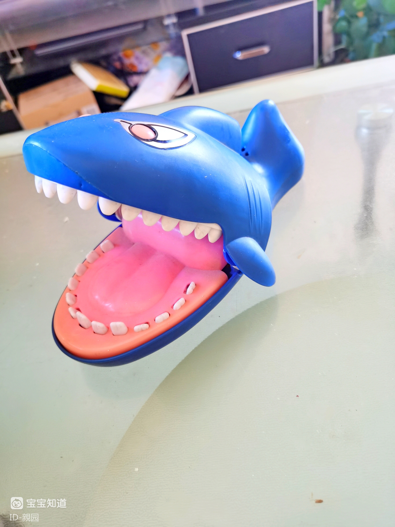 石头的奇葩爱好咬手鲨鱼