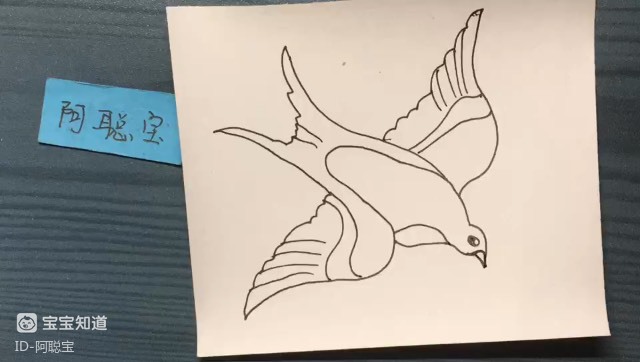 简笔画:一只飞翔的雨燕