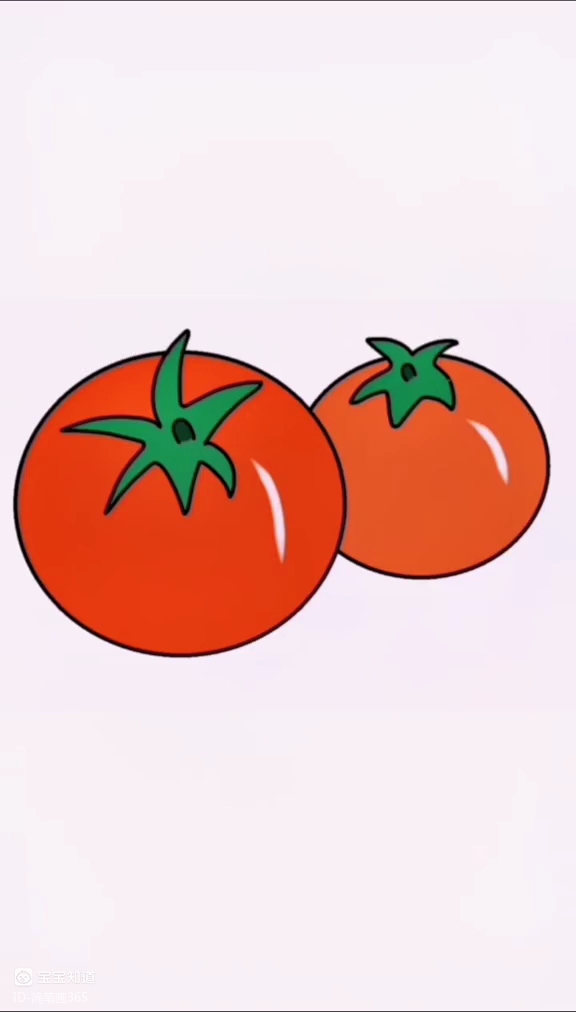 番茄的简笔画 简单图片