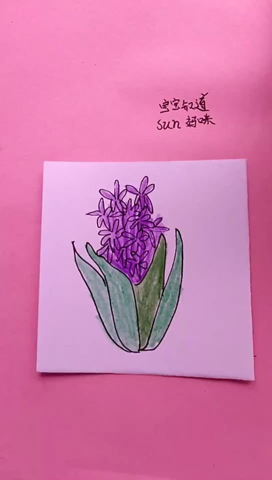 [画画秀]适合幼儿画的风信子