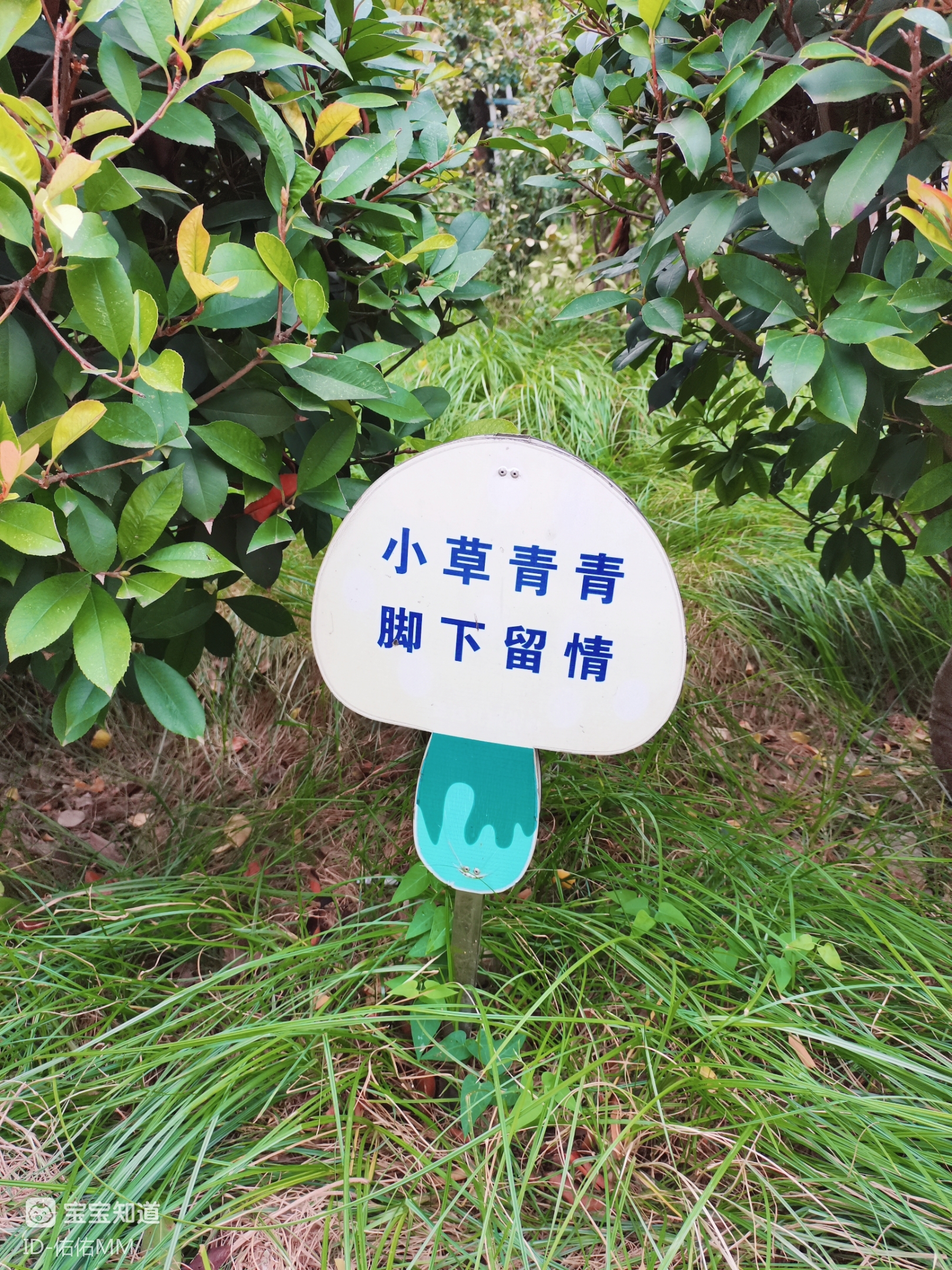 教育孩子不能踩踏草坪