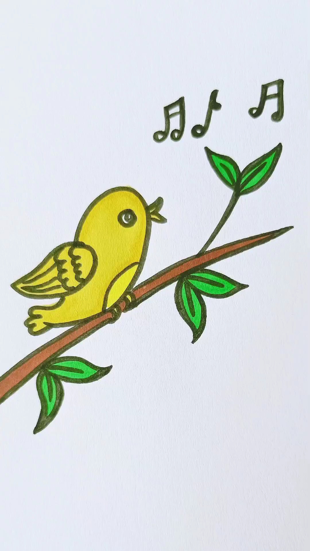 简笔画大树上的小鸟图片