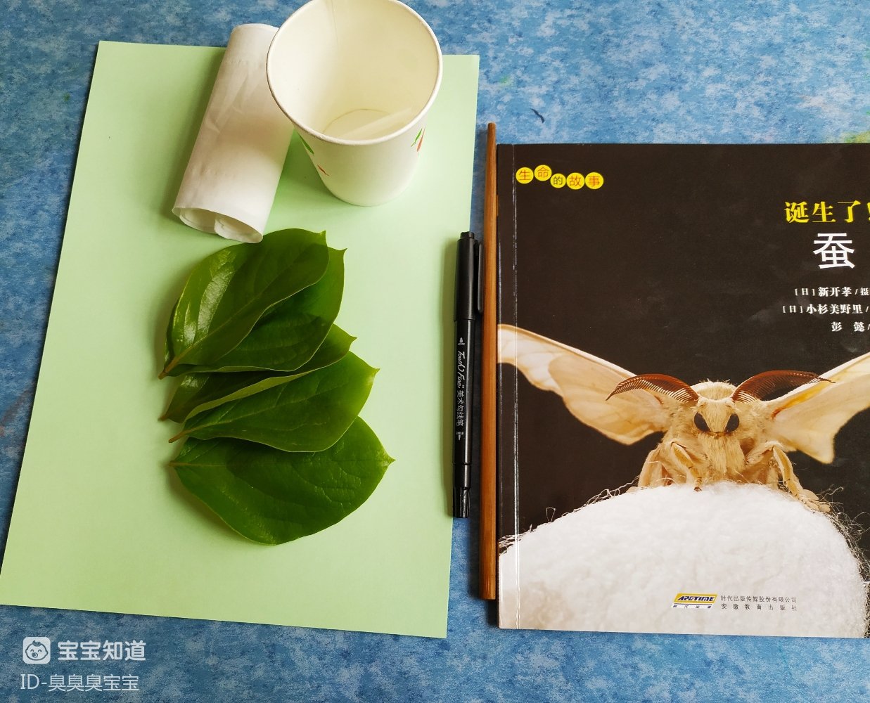 [阅读打卡]蚕宝宝长大了，《诞生了！蚕》解读生命的故事 - 百度宝宝知道
