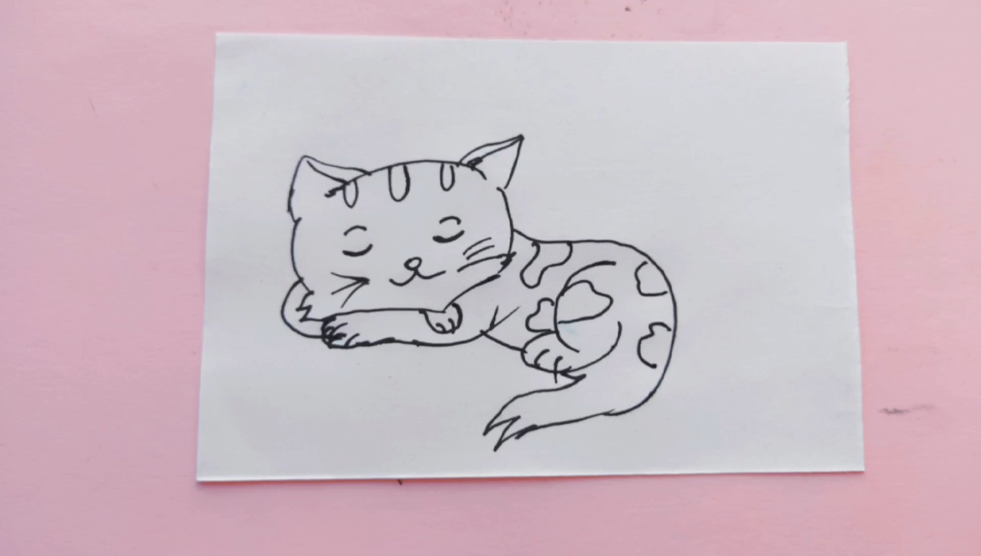 趴着的猫画法图片