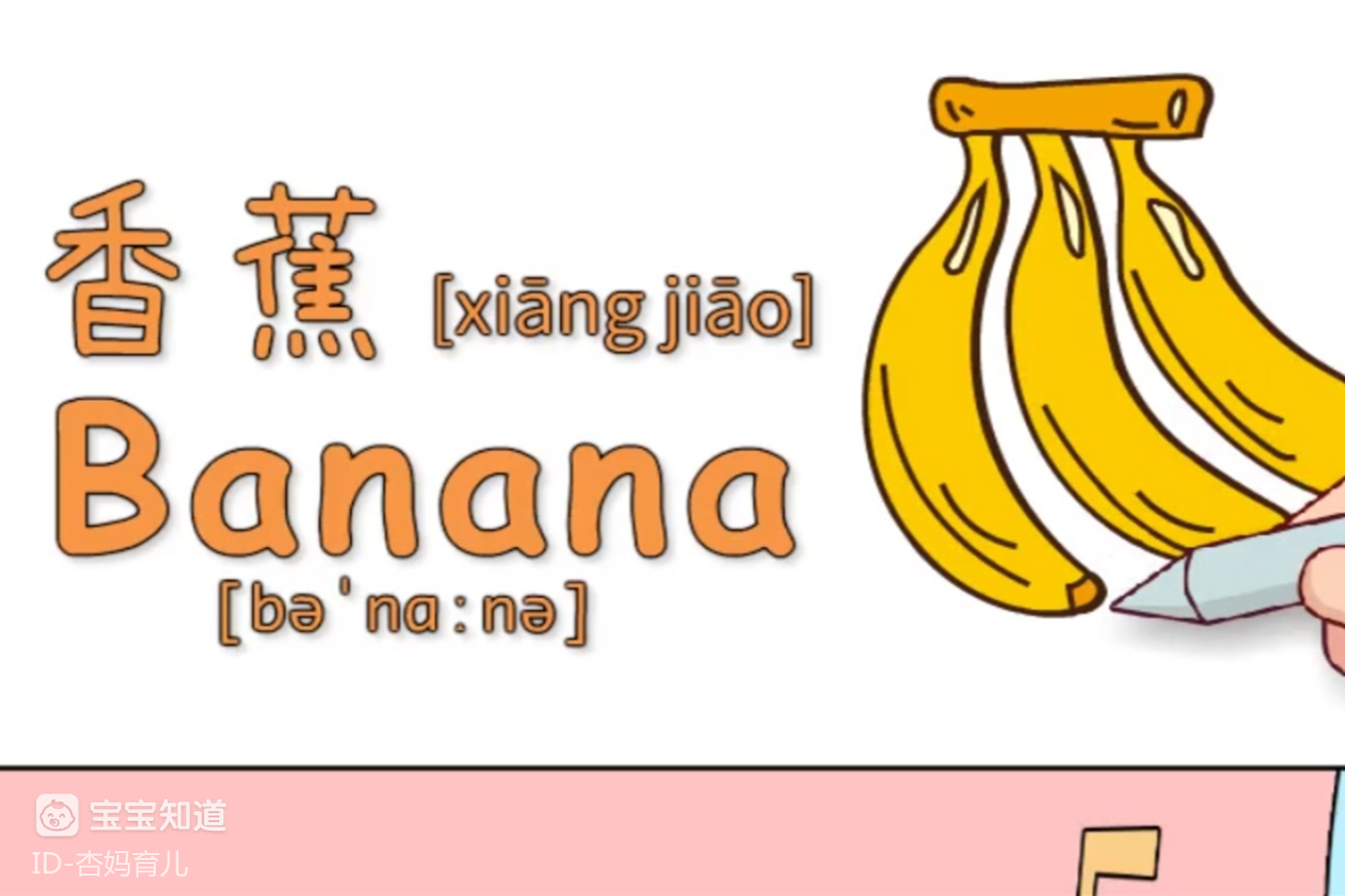 香蕉英语(香蕉英语拼写怎么写)