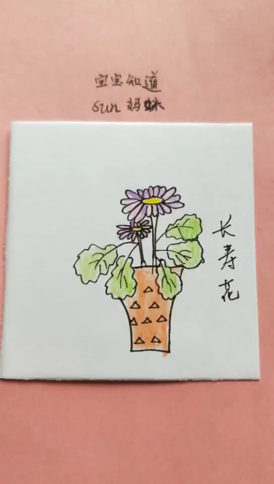 长春花简笔画画法图片