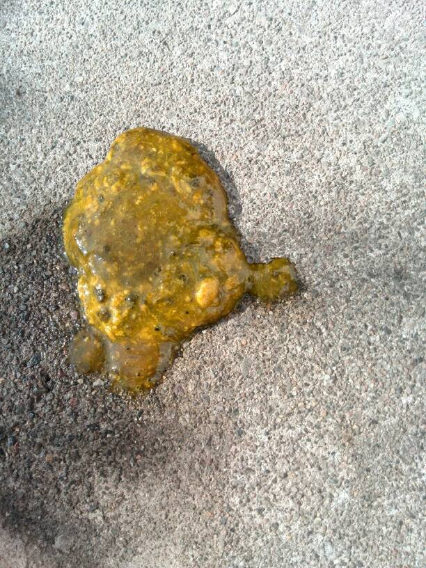 问答 问答首页  为您推荐: 其他回答 宝宝大便稀,黄绿色有奶瓣有可能