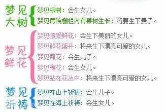 胎梦真的可以预测胎儿性别吗？”