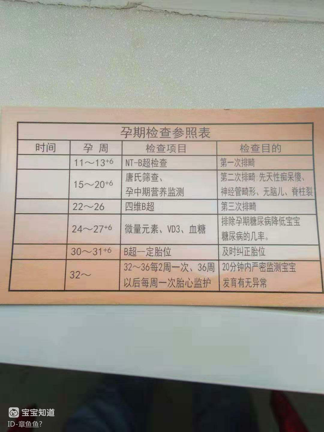 16周检查唐筛前让做个b超,四个月做了四次了