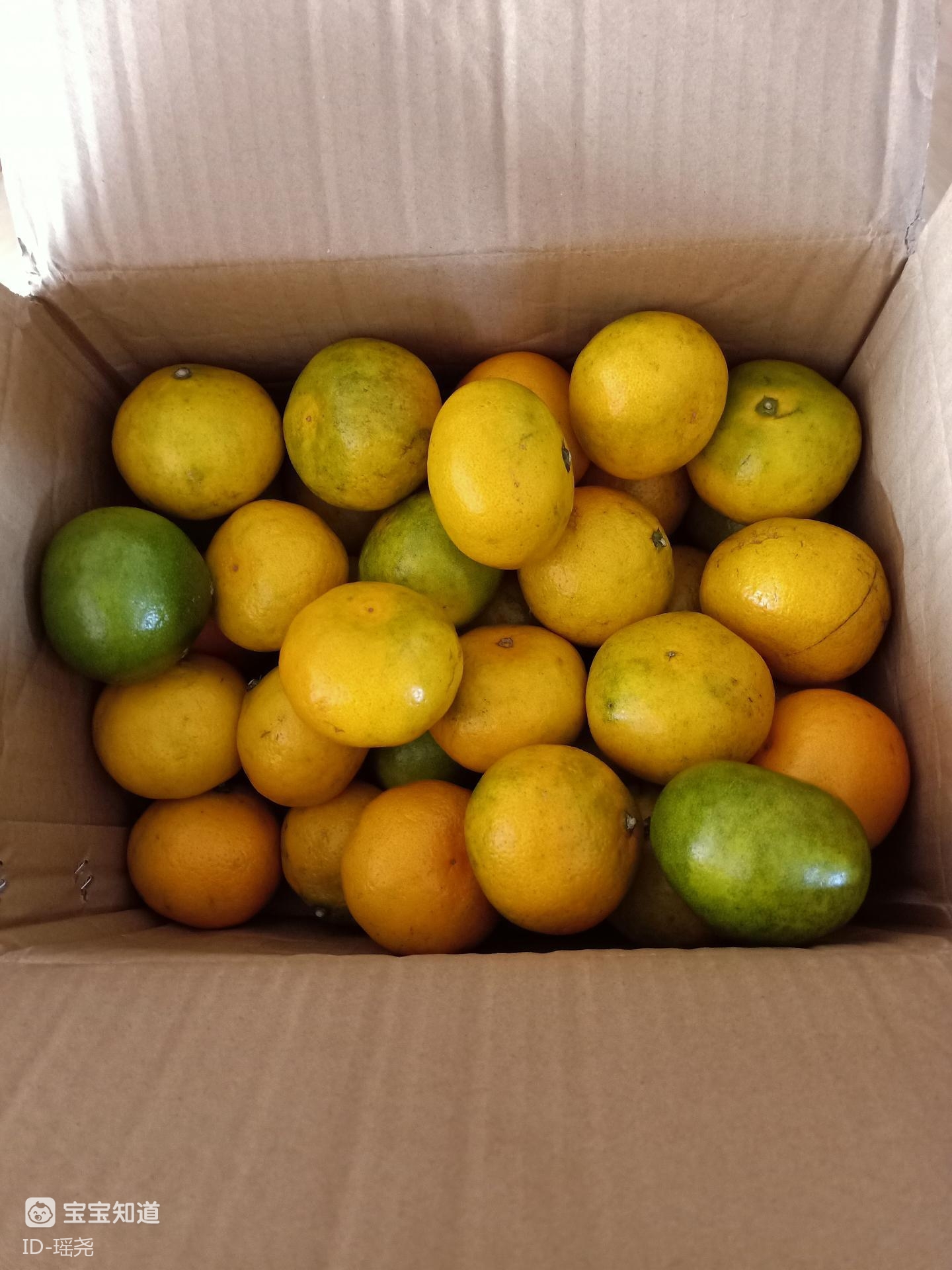 今日账单买了一箱橘子