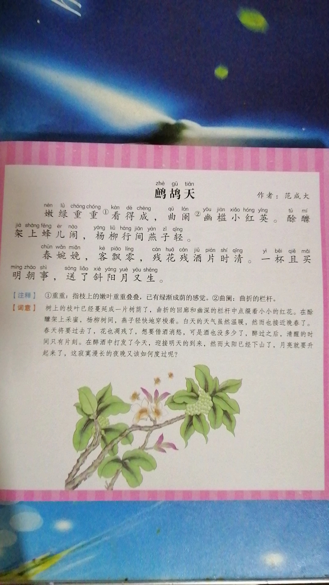 [国学学习]来学习一首宋词——范成大的《鹧鸪天》