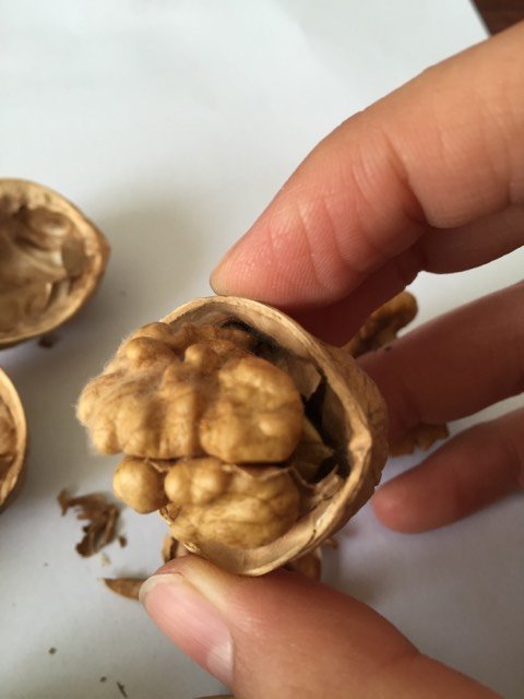 这样的核桃还能吃吗?