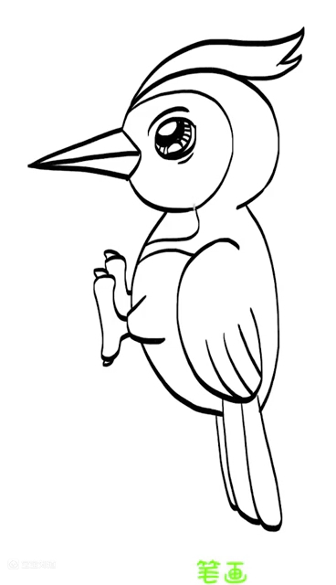 啄木鸟简笔画治病图片