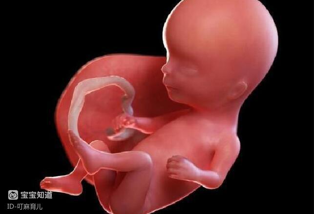 孕中期常见的3个缺钙表现即使只中1个也得谨慎孕妇赶紧补钙